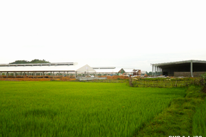 The applications of pre-engineered steel buildings in the construction of agricultural facilities